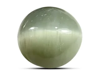 CTI16616830-1
