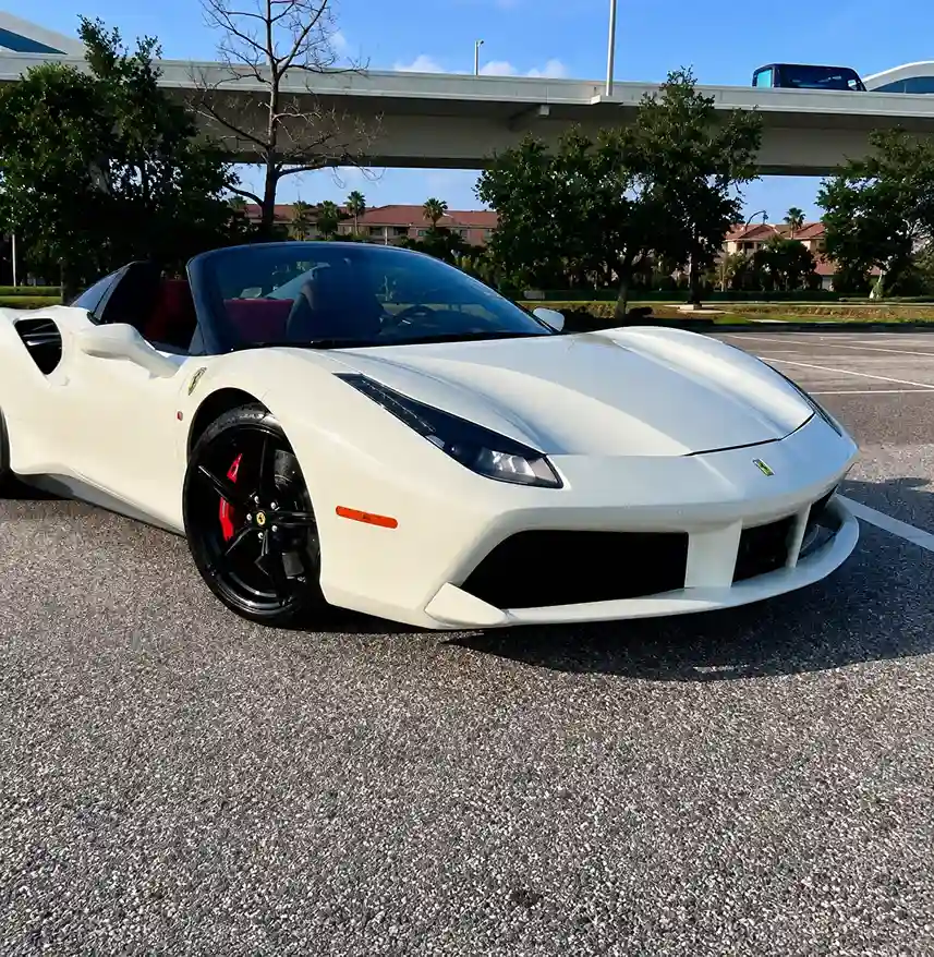 Tampa Bay Exotic Car Rentals