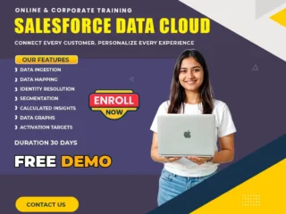 Data-Cloud-Salesforce-Training-Live-Online-Classes-1