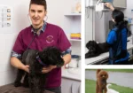 Full Range Veterinary Services | Chatswood Veterinary Clinic Sydney