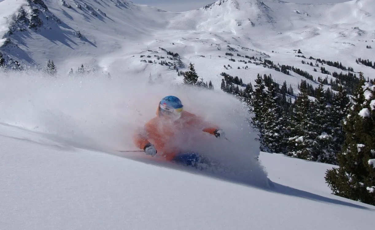 Maison de ski