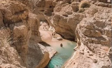 Explore Oman’s Best Tours & Marine Adventures with Octopus Oman