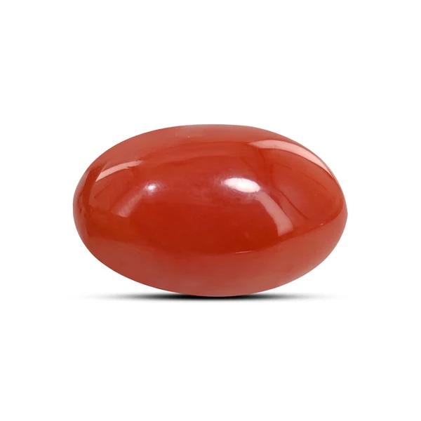 Buy Natural Red Coral (Moonga) Stone Online
