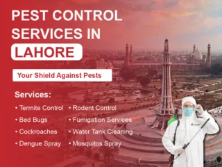Lahore-post-01-1