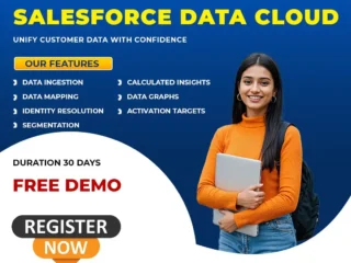 Master-Salesforce-Data-Cloud-Classes-Hands-On-Learning-1