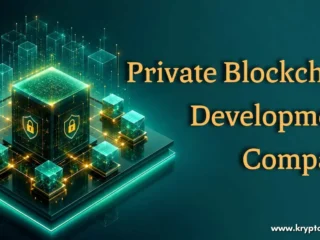 Private-Blockchain-Development-Compan-100kb