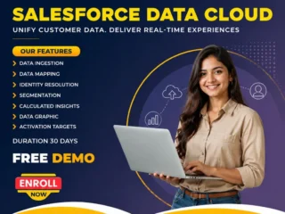 Salesforce-Data-Cloud-Training-Ameerpet-Live-Online-Course