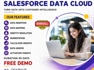 Salesforce-Data-Cloud-Training-Hyderabad-Online-Classes