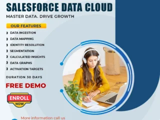 Salesforce-Data-Cloud-Training-Online-Live-Expert-Classes