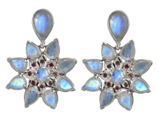 Stella_Moonstone_Garnet_Statement_Earrings