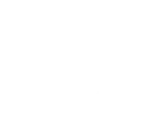 The-platinum-salon-logo-light-1