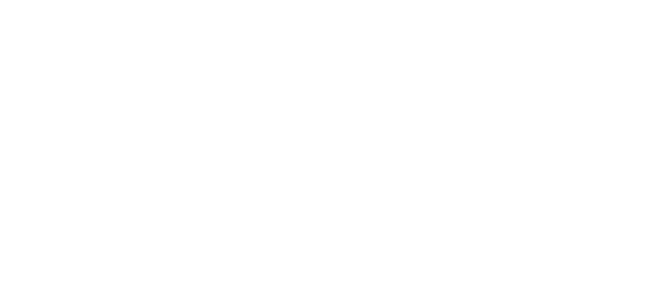 The Platinum Salon