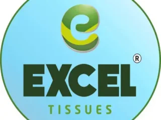 excel