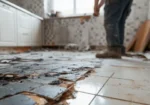 Florida Restoration Experts llc