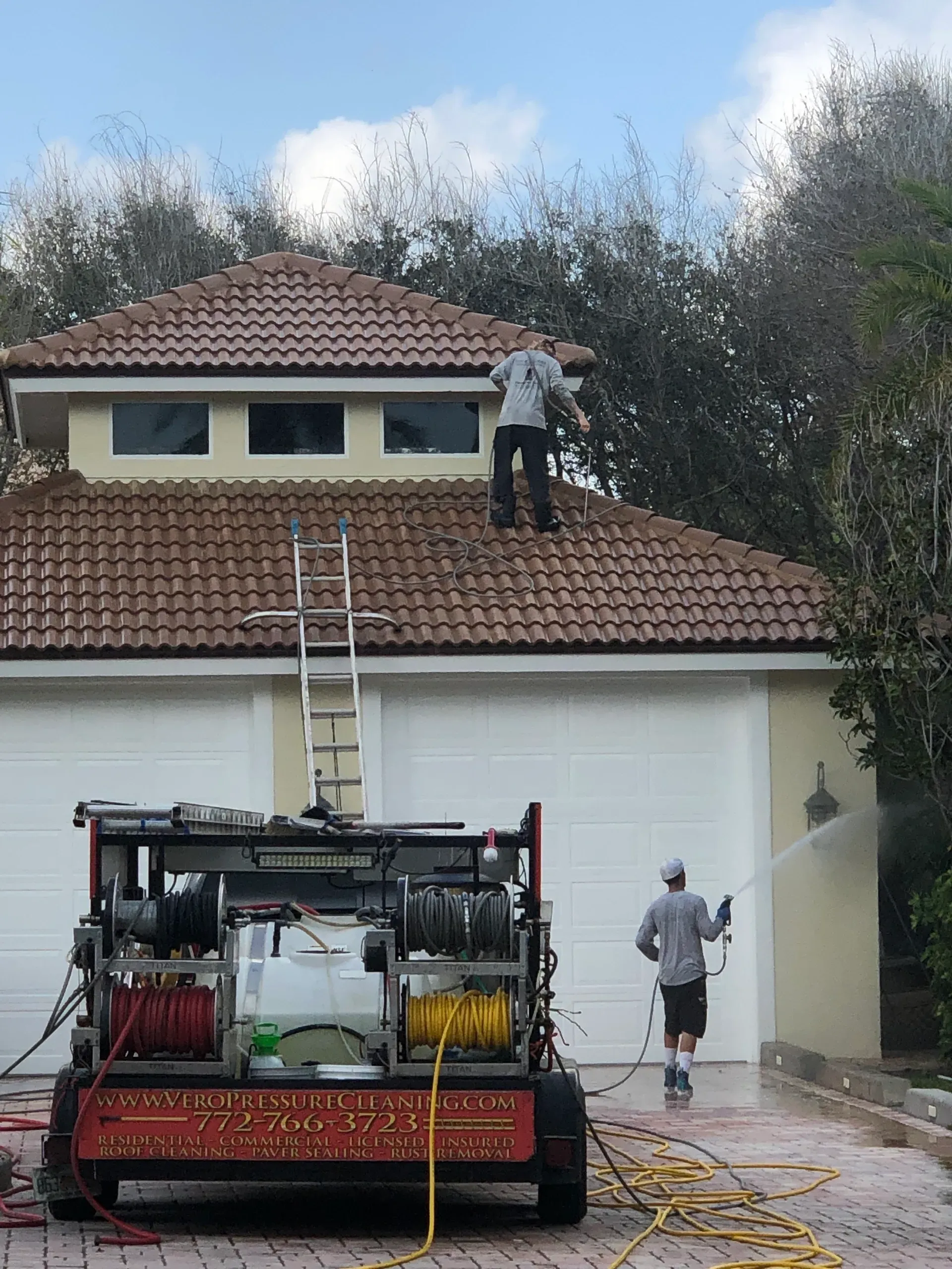 Moss Removal Roof Mosselbay
