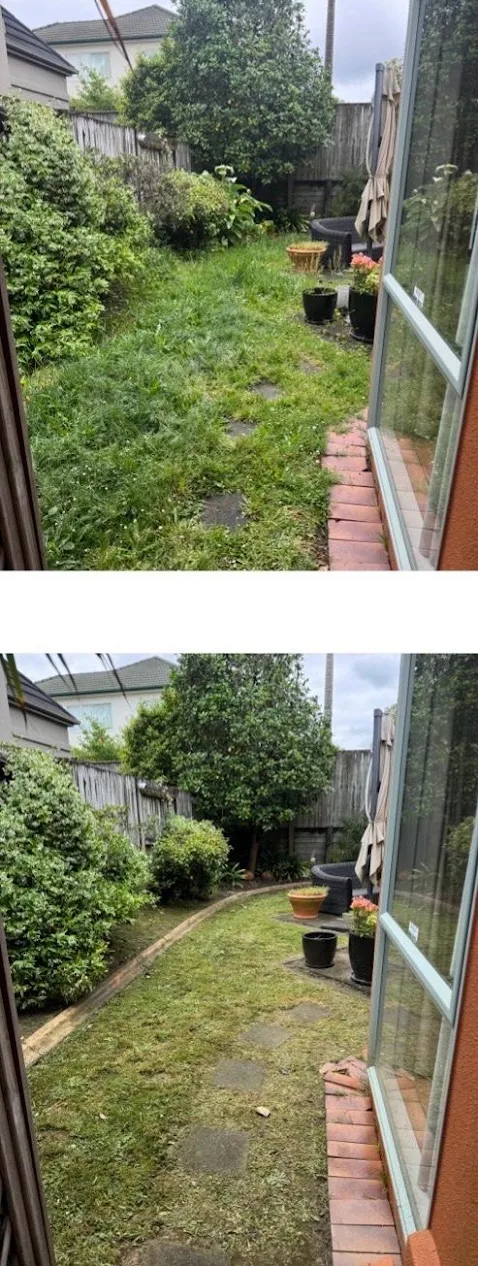 Jaggardening – Professional Garden Maintenance in Auckland