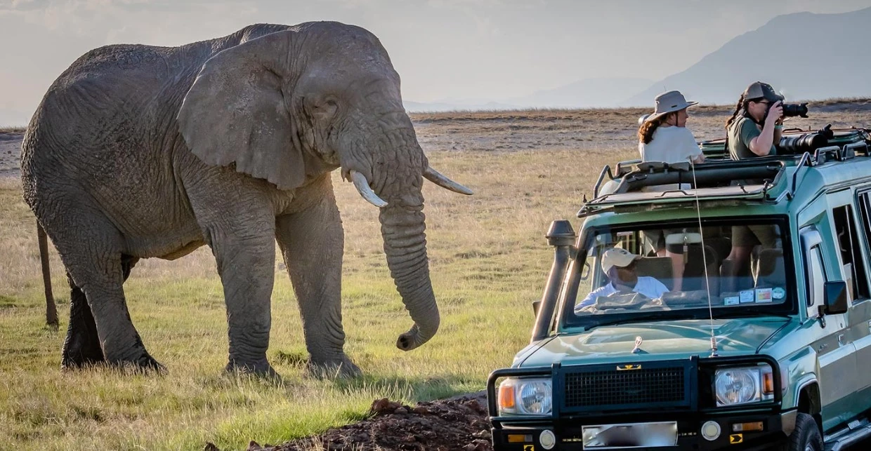 Best Time for Uganda Tour Safaris