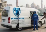 Markhor Termite Services