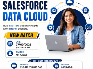 Salesforce-Data-Cloud-Training-–-New-Batch-Starts-September-7
