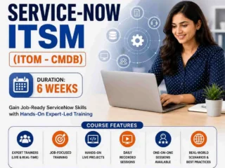 ServiceNow-Course-Online-Practical-Training-Visualpat-100kb