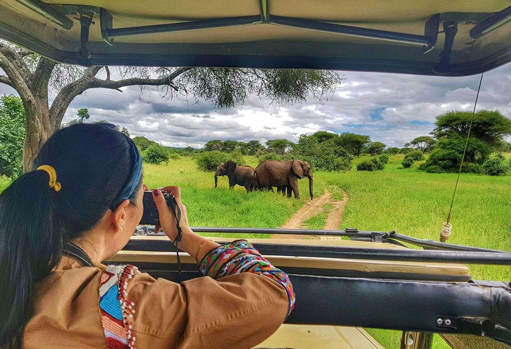 Best Time for a Solo Traveller on Uganda and Rwanda Safari