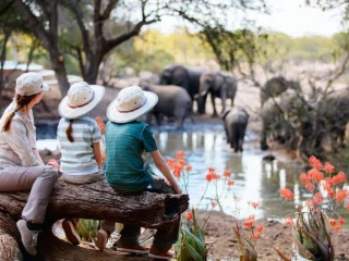 When-is-the-Best-Time-for-a-Safari-in-South-Africa