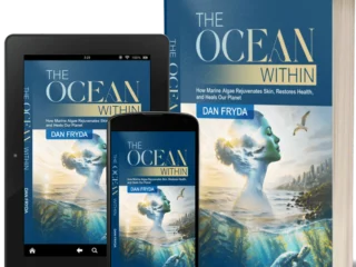 book-cover-1