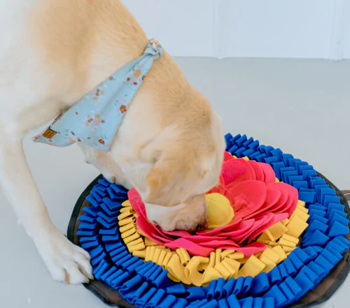 Could Snuffle Mats for Dogs Turn Ordinary Treat Time Into a Nose-Work Adventure?